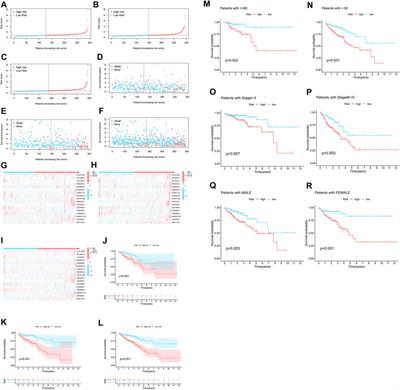 N7-methylguanosine-related lncRNAs: Predicting the prognosis and diagnosis of colorectal cancer in the cold and hot tumors